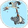 cicogna elefante.gif
